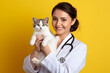 © Nitcharee - Portrait Of Happy Veterinarian doctor with kitten cat with Healthy Feline Patient  , Pet Health Care And Routine Check Up Concept, a Space for text