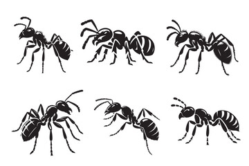 Wall Mural - Ant silhouette vector illustration.eps