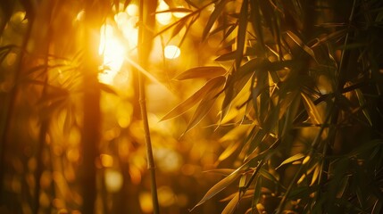 Wall Mural - A close-up photo of a bamboo forest with dappled sunlight filtering through the leaves. The warm hues of the setting sun create a serene and peaceful atmosphere