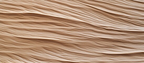 Poster - river sand close up macro Natural background sand texture. copy space available