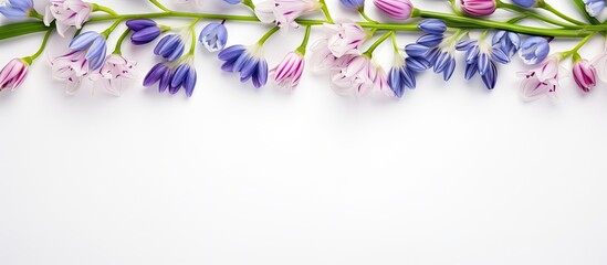 Poster - Spring decoration Frame of flowers white snowdrops blue scilla violet pink hollowroot on a white background with space for text Top view flat lay. copy space available
