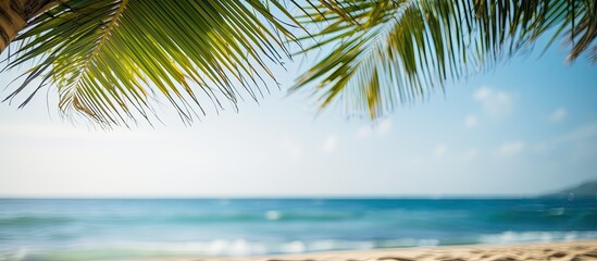 Poster - Sand with blurred Palm and tropical beach bokeh background Summer vacation and travel concept Copy space