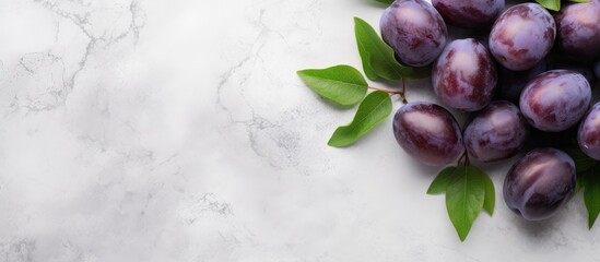Wall Mural - Organic purple plums with leaves light grey stone background Autumn or summer harvest Copy space top view