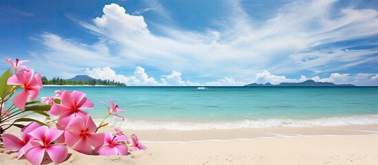 Poster - pink white flowers and green palm tree leaves plant blue sea and cloudy pink sky panorama water wave on white sand at the tropical beach summer holiday. copy space available