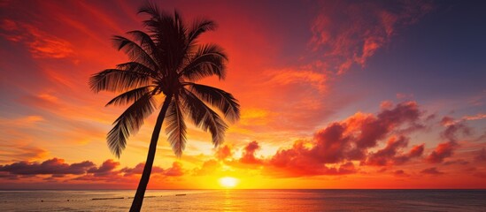 Canvas Print - Sunset Palm tree Honolulu Hawaii. copy space available