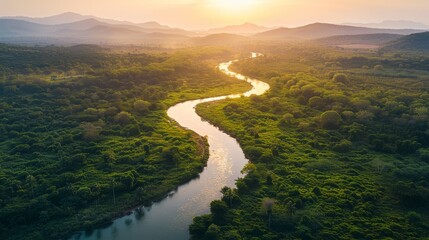 Wall Mural - An aerial photograph captures a river snaking through a dense forest as the sun sets, casting a warm glow over the landscape