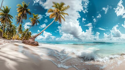 Wall Mural - A wide-angle photo of a pristine tropical beach with palm trees swaying in the breeze capturing the idyllic beauty of a perfect summer day