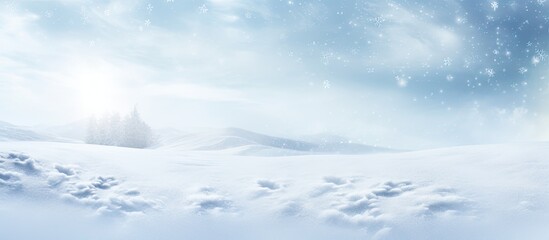 Fototapete - Traces of animals and people in the fresh white snow Fresh snow fell Snow texture for winter background. copy space available