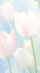 Sticker - Blurred gradient Tulip tulip outdoors blossom.