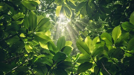 Wall Mural - A low-angle photograph captures the vibrant green foliage of a tropical forest canopy with sunlight filtering through the leaves