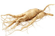 © generAte Ideas - Fresh Ginseng Root on White Background - Close-Up of Natural Herbal Medicine with Detailed Texture and Organic Shape - Ideal for Health, Wellness, and Traditional Medicine Concepts