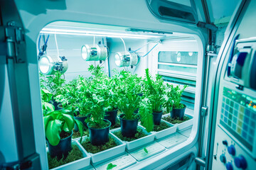 Hydroponics lab room on spacecraft. Organic laboratory scientists and biologists testing plants quality. Farm of the Future and agricultural laboratory concept.