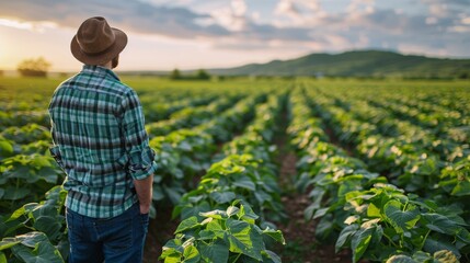 Canvas Print - A farmer in a hat and plaid shirt looking over a vast green soybean field at sunset