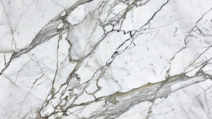 Poster - Close-up of polished marble with natural gray veining on a white surface