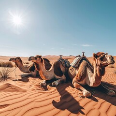 Wall Mural - Embark on a visual adventure as a caravan of camels traverses the expansive desert landscape, with vast stretches of sand and distant dunes creating a mesmerizing scene of ancient nomadic travel