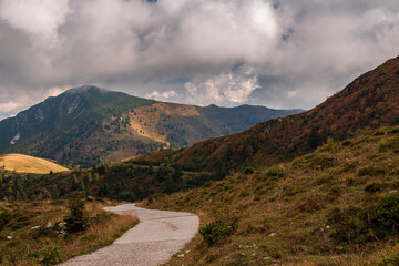 Canvas Print - Colors are exploding in the woods of Carnic Alps