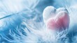 © 2rogan - Blue and white feather textures with love theme for Valentine s Day