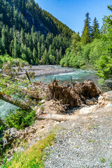 Wall Mural - Highway 410 Scenic River 2