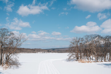 Canvas Print - Winter snow lake at Onuma Quasi-National Park in Hokkaido, Japan