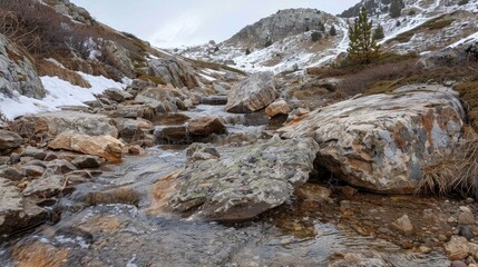 Wall Mural - a shallow stream its path diverted by large chunks of rock that have been loosened and shifted by fr