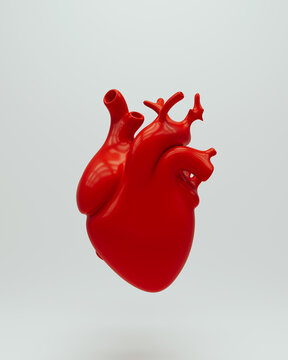 Red heart human anatomical organ internal biology model white background 3d illustration render digital rendering