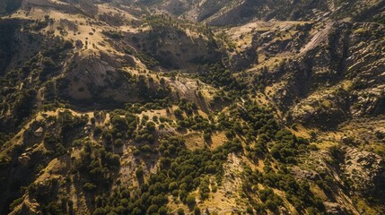 Wall Mural - a birds eye view captures the stark contrast between the greenery of the mountains and the dry rocky