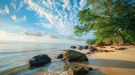 Wall Mural - serene shoreline morning beach scene with rocks and trees tranquil landscape photo