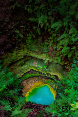 Wall Mural - Jess's Hole, a Sink Hole Illuminated at Night in Florida