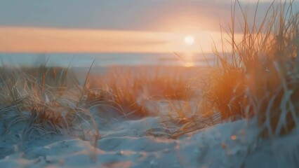 Wall Mural - Beach scene with sun setting in background