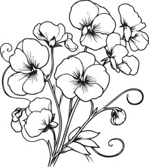 Wall Mural - Sweet pea flower drawing, a branch of the botanical spring collection, ink illustration vector art of Sweet pea bouquet, hand-drawn artistically, Zentangle tattoo, easy flower coloring pages and book