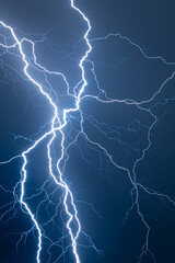 Wall Mural - multi branched lightning bolts against a dark blue background