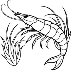 Wall Mural - shrimp illustration