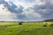 © Sergei - A wide shot of a green meadow with a few trees scattered throughout. The sky is dominated by large, dark clouds with patches of sunlight breaking through.