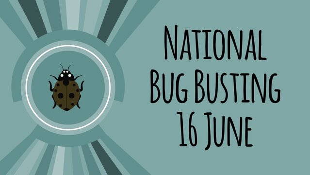National Bug Busting web banner design illustration 