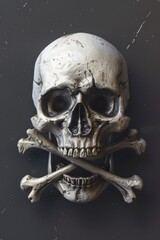 Aufkleber - A detailed view of a skull and crossbones, often used as a warning symbol