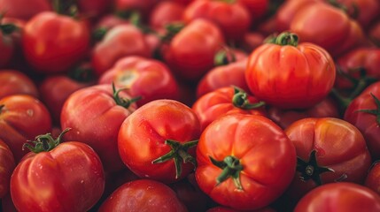 Canvas Print - Pile of tomatoes at a farmers market, creating a rustic and vibrant background