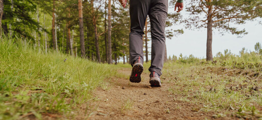 Canvas Print - Walk on the forest trail