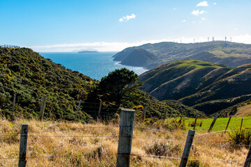 Wall Mural - Pastures in Wellington Region - New Zealand