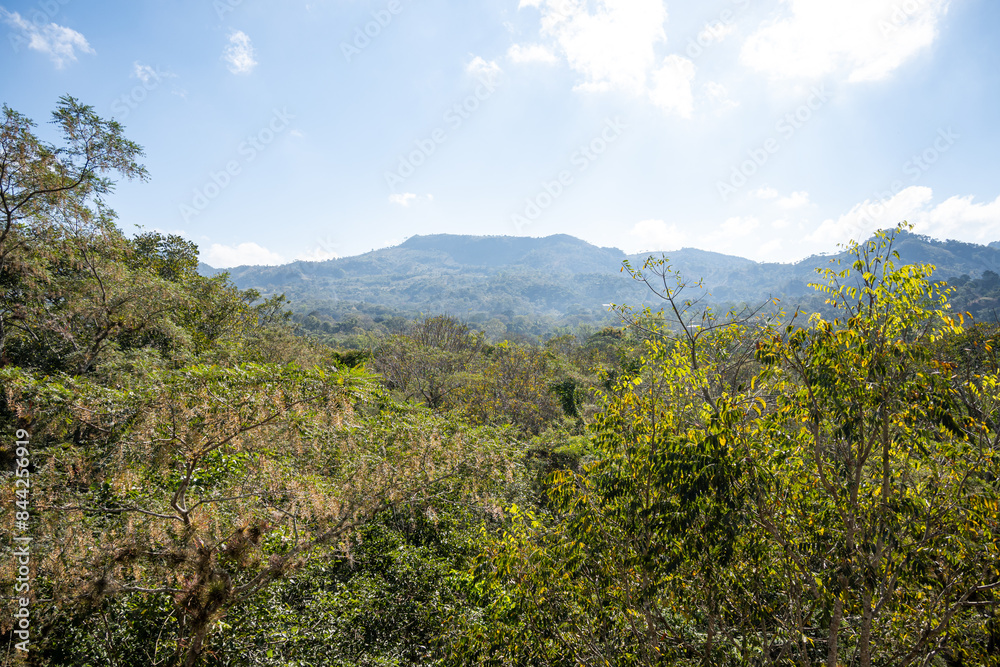 Bewaldete Berge im Tal von Copán Honduras