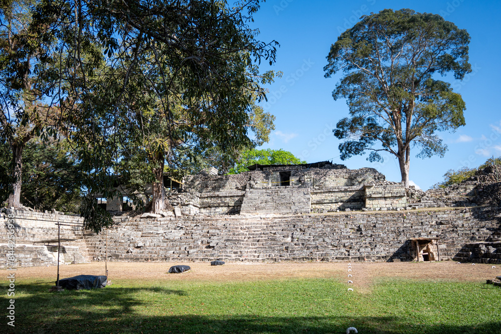 Maya-Ruinen von Copán unter einem großen Baum