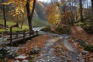 Poster - A serene autumn landscape featuring a rustic pathway with colorful foliage and a wooden bridge over a creek