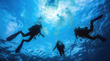 Wall Mural - Scuba Divers near the sea surface of the deep blue ocean