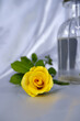 © Chengraphy - Yellow rose and glass vase with white satin backdrop. Close-up yellow rose flower with glass vase for concept of home decor, minimal, art, and still-life. Yellow flower for decorative and gift cards.