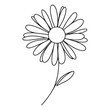 © SAcollection - Daisy flower in continuous line art drawing style. Chamomile One line drawing art. Minimalist black linear sketch. Vector illustration eps file 10