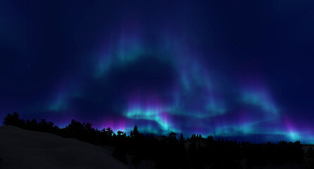 Wall Mural - colorful northern lights over starry night sky