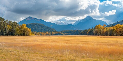 A scenic view of a mountain range with a blue sky and white clouds, featuring a field of yellow grass in the foreground