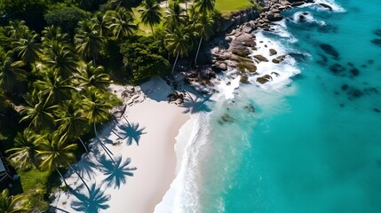 Wall Mural - Aerial view of beautiful tropical beach with palm trees and turquoise sea