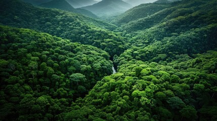 Poster - A breathtaking aerial view of lush, green forested mountains with a hint of mist in the distance, capturing the serene beauty of nature.