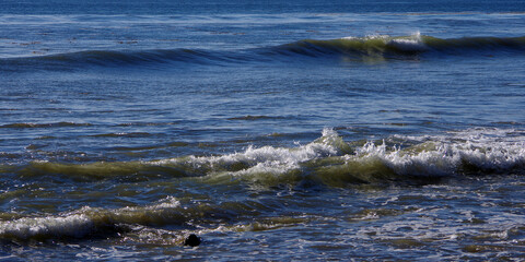 Wall Mural - Waves at a Pacific Ocean beach