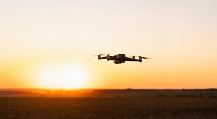 Poster - Drone flies over a wheat field. Smart farming and precision agriculture..
